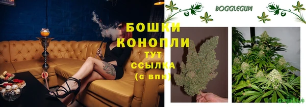 хмурый Верхний Тагил