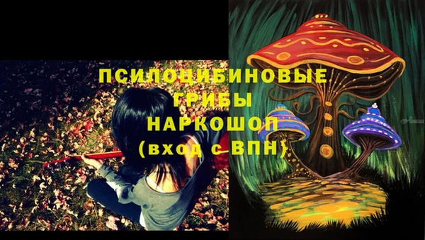 прущий лед Верея